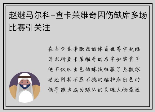 赵继马尔科-查卡莱维奇因伤缺席多场比赛引关注