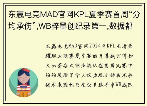 东赢电竞MAD官网KPL夏季赛首周“分均承伤”,WB梓墨创纪录第一,数据都无法解释的强势表现 - 副本